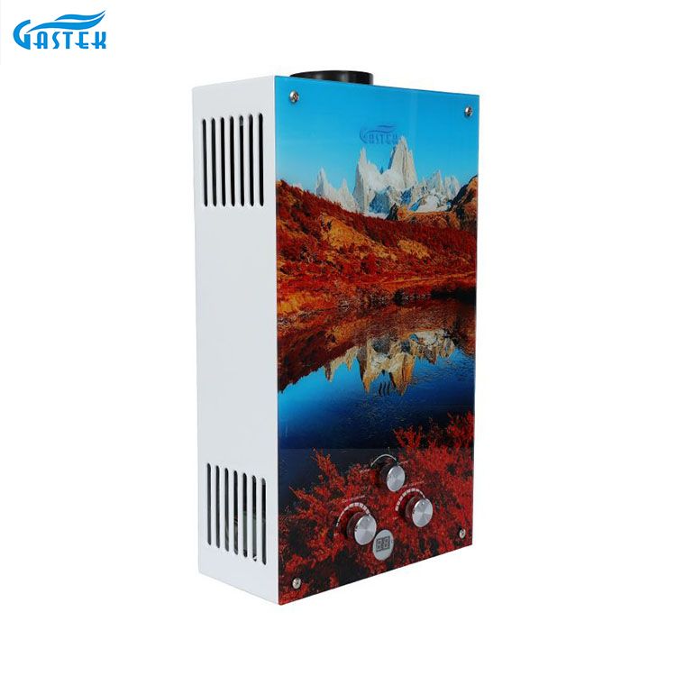 Ống khói loại 12L Tấm kính Kích thước nhỏ gọn Máy nước nóng gas